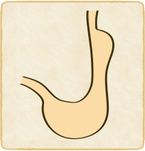胃下垂のイラスト
